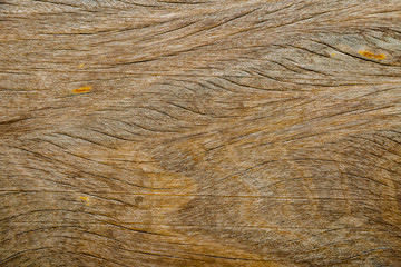 brown wood texture