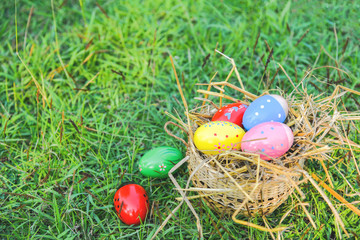 Easter eggs hunt on green grass  outdoor / Basket nest with colorful egg decorated festive on meadow