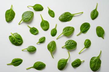 spinach leaves on white background. top view