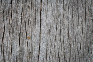 old wood texture