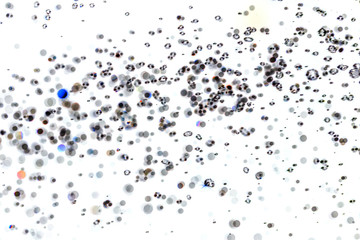 Abstract bokeh  texture on white