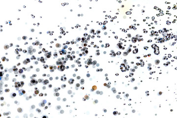 Abstract bokeh  texture on white