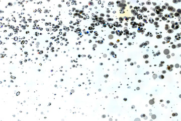 Abstract bokeh  texture on white