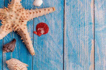 Top view of big starfish and small seashells on blue wood textured background - with copy space - summer time and holiday backdrop concept