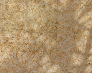 wall with plaster. Texture