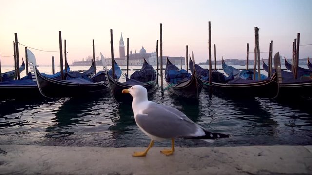 Gondolas in Venice in the moning. On background San Giorgio Maggiore island is visible