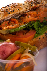 BAGUETTE CIABATTA TORTA CHAPATA