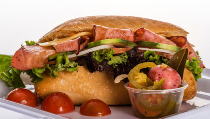 BAGUETTE CIABATTA TORTA CHAPATA