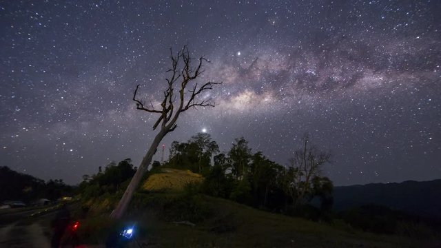 Milky Way Passes Over A dead tree in Sabah, Borneo