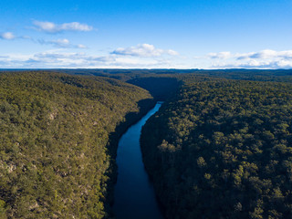 river and bush with cloudy sky