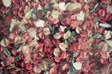 Dried flowers and leaf