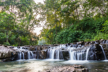 Green forest waterfall
