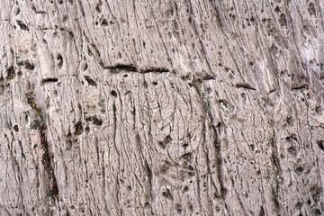 Close view of abstract colorful rock