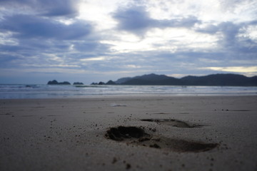 footprints on the beach