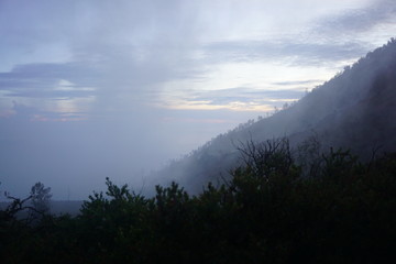 fog covering the landscape