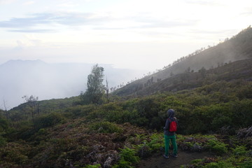 look at the vastness of nature