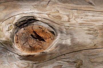 log with knots