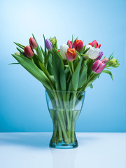 A bouquet of tulips on a blue background.