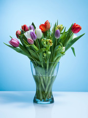Fototapeta na wymiar A bouquet of tulips on a blue background.