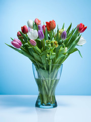 A bouquet of tulips on a blue background.