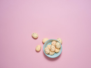 Exotic eggs on pastel backgrounds individually.