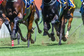 Keuken spatwand met foto Horse Racing Action Abstract Close-Up Hoofs Legs Grass Track  © ChrisVanLennepPhoto