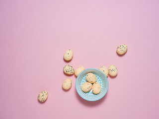 Exotic eggs on pastel backgrounds individually.