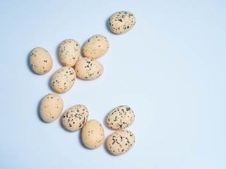 Exotic eggs on pastel backgrounds individually.