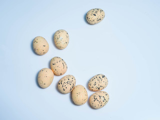 Exotic eggs on pastel backgrounds individually.
