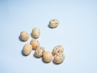 Exotic eggs on pastel backgrounds individually.