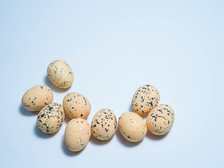 Exotic eggs on pastel backgrounds individually.