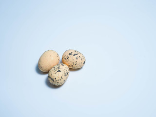 Obraz premium Exotic eggs on pastel backgrounds individually.