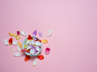Tulip petals on a pink background, Easter