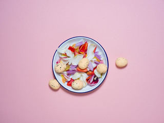 A white plate on a pink background with tulips