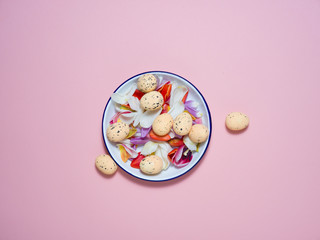 A white plate on a pink background with tulips