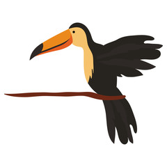 Obraz premium toucan exotic bird icon