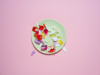 A green plate on a pink background with an Easter decoration.