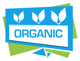 Organic Green Blue Squares Triangles 