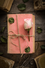 Pink rose on an old book in a vintage style.