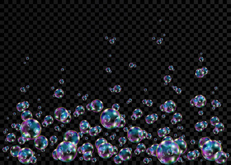 Colorful soap  bubbles with rainbow reflection.