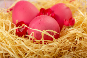 Easter eggs in the nest