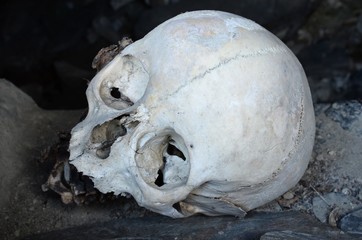 The skull into the tomb of the Dead city, Northern Caucasus, Chechnya