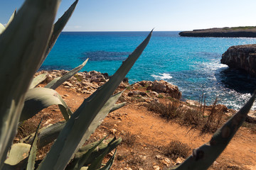Mallorca beach at the day