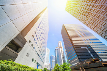 Asia Business concept for real estate, corporate construction and ecology - looking up view of panoramic modern city skyline with blue sky and green tree in shinjuku, tokyo, japan
