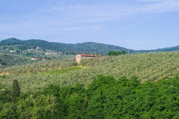 Tuscan countryside with vineyards, olive trees, woods, farms and town