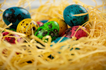 Easter eggs in the nest