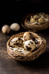 Quail eggs in nest on dark background. Easter holiday