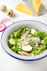 Fresh salad with salted herring, fish, lettuce, boiled quail eggs, red onions and hard Parmesan cheese. Delicious lunch, spring green food