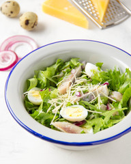 Fresh salad with salted herring, fish, lettuce, boiled quail eggs, red onions and hard Parmesan cheese. Delicious lunch, spring green food