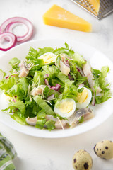 Fresh salad with salted herring, fish, lettuce, boiled quail eggs, red onions and hard Parmesan cheese. Delicious lunch, spring green food